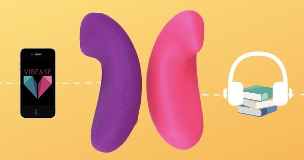 Vibease remote control Vibease remote control