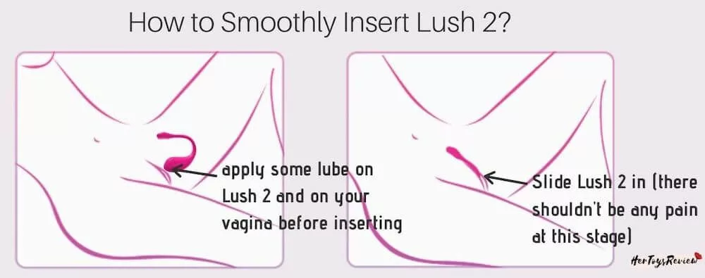 how to insert lovense lush 2